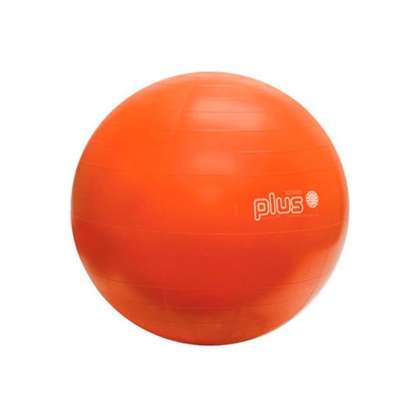 PhysioGymnic Molded Vinyl Inflatable Exercise Ball, 55 cm (22"), Orange